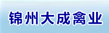 ���ݴ����ҵ���޹�˾